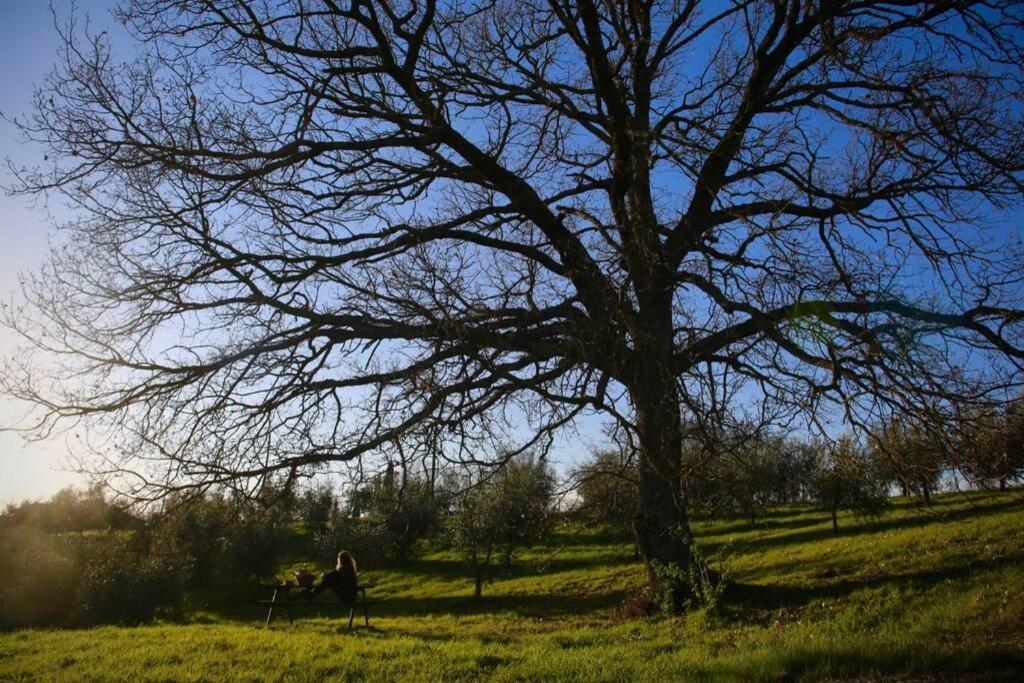 La Casina della Quercia, Your Tuscan Oak Tree House Villa Osteria Delle Noci Exterior foto